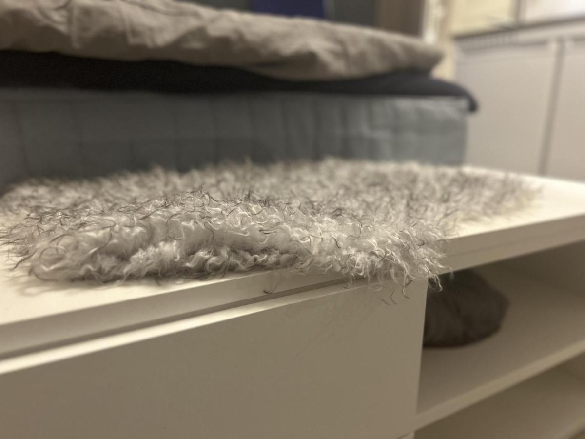New Studio Apartment In Tromso - Aurora Hotspot 外观 照片