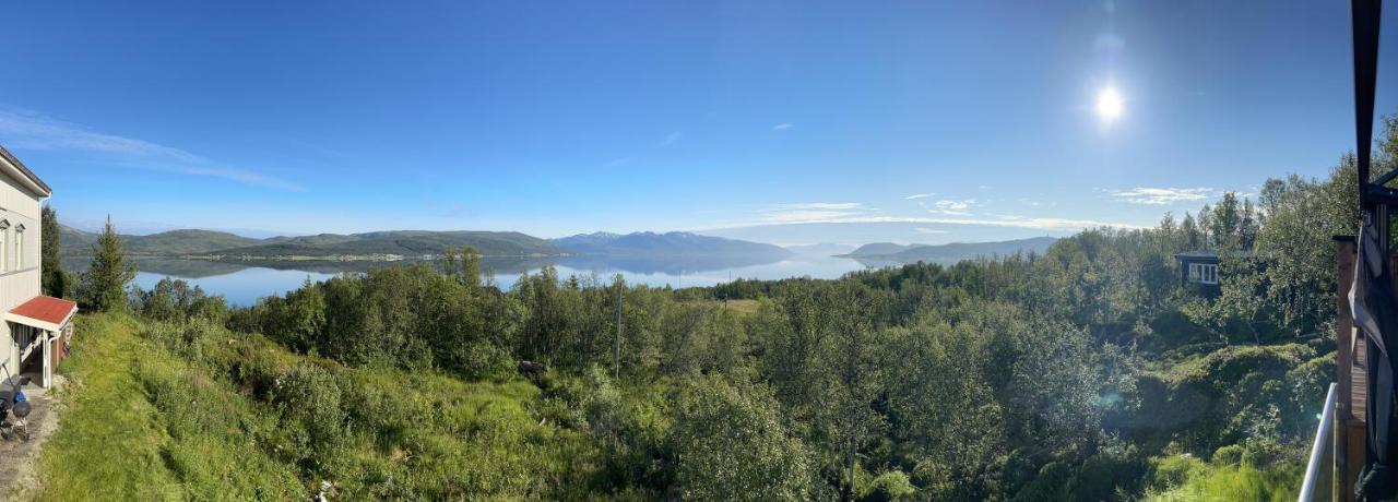 New Studio Apartment In Tromso - Aurora Hotspot 外观 照片